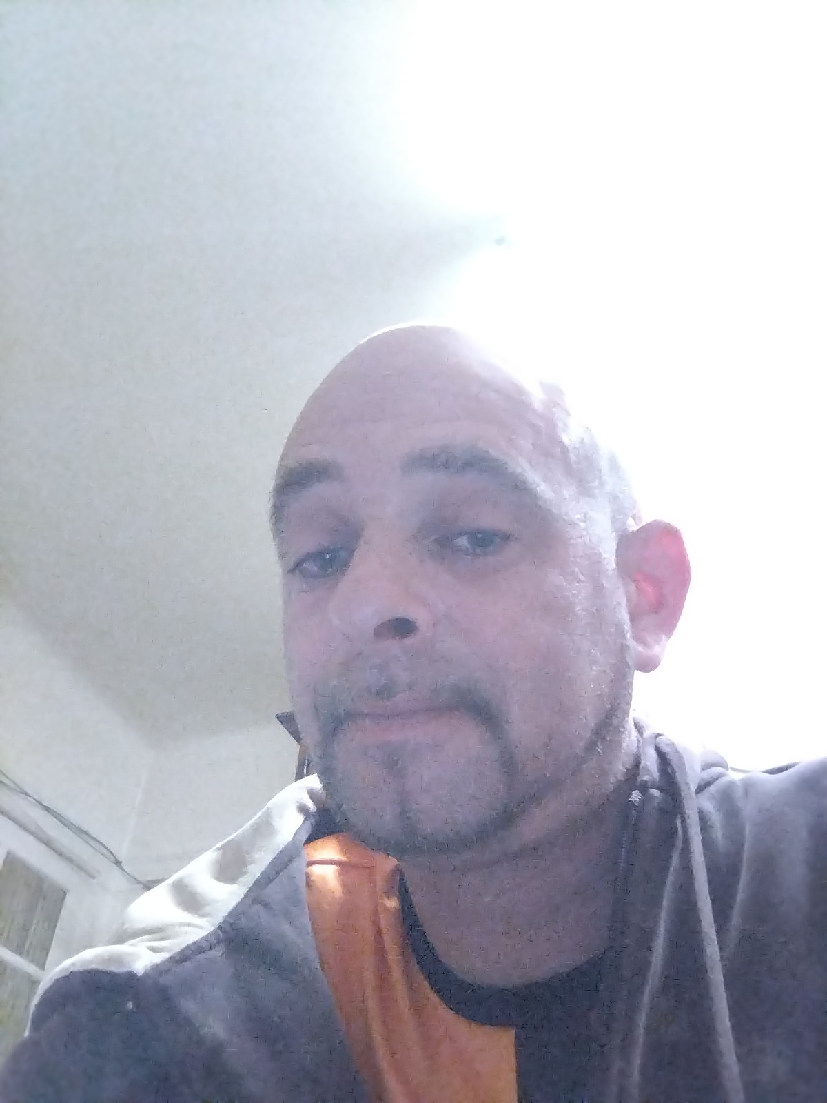 Profil von Clifford